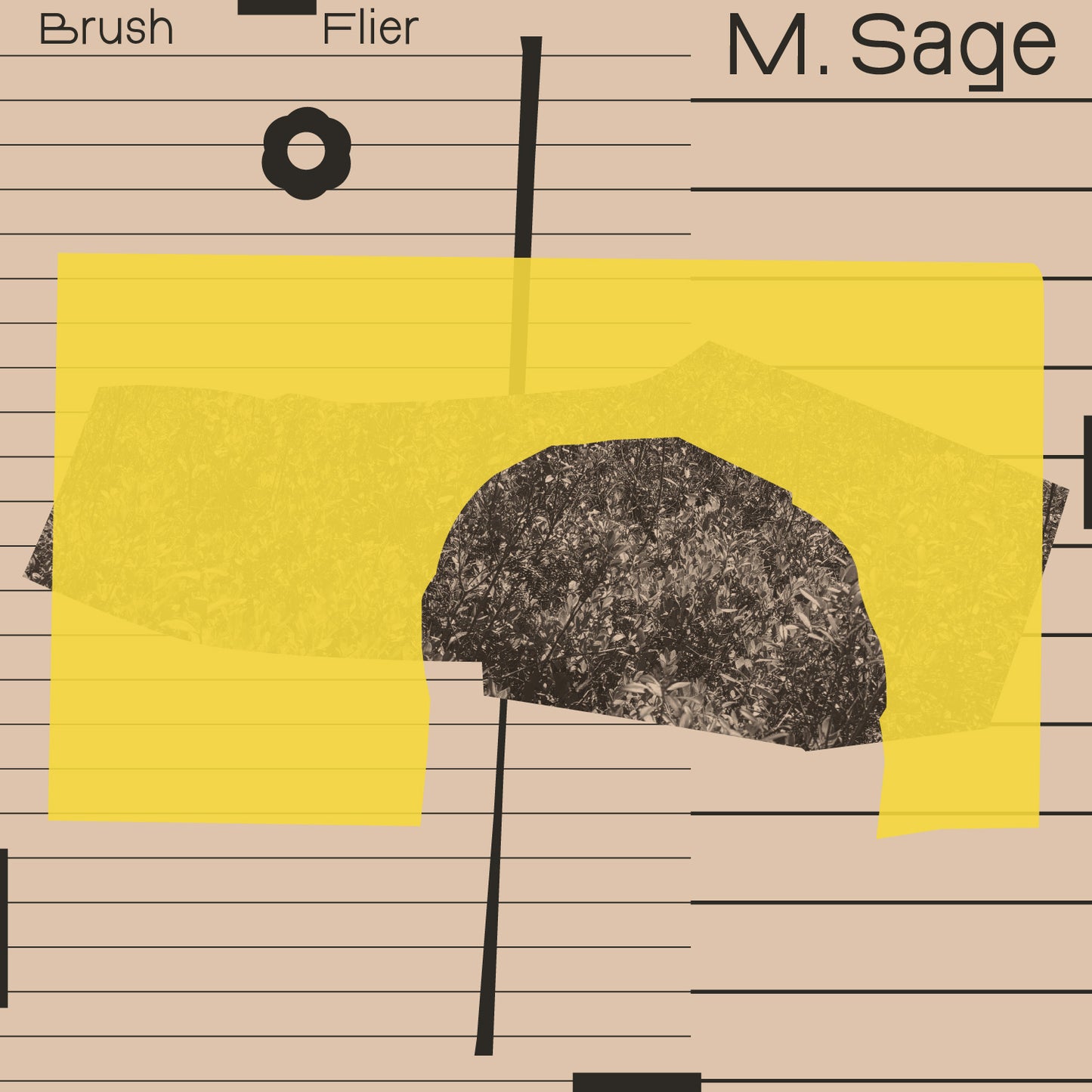 M. Sage - Brush Flier