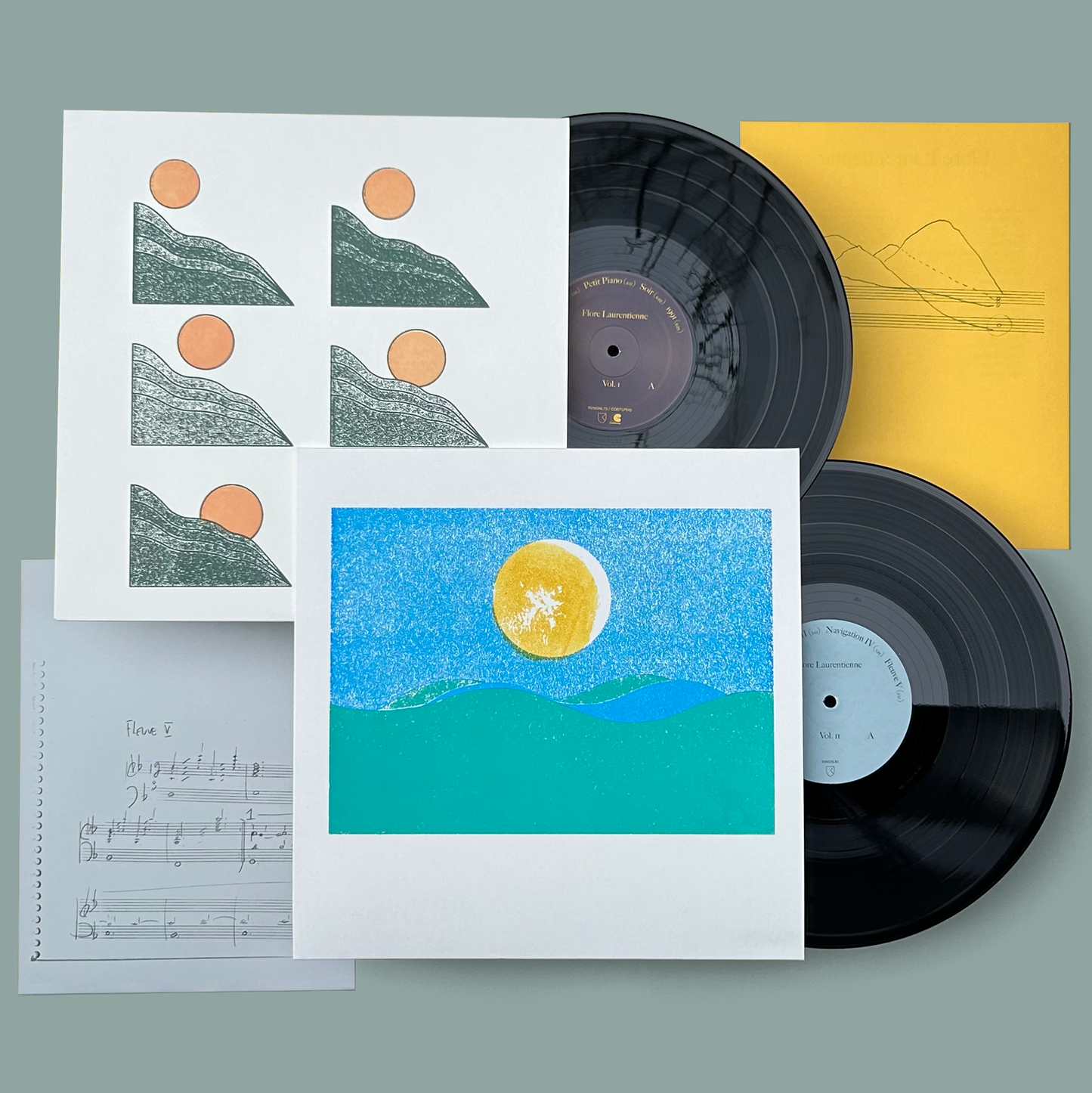 Flore Laurentienne - Volume II