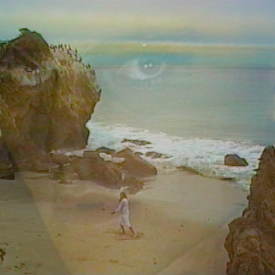 Palmbomen II - Carina Sayles [Official Video]