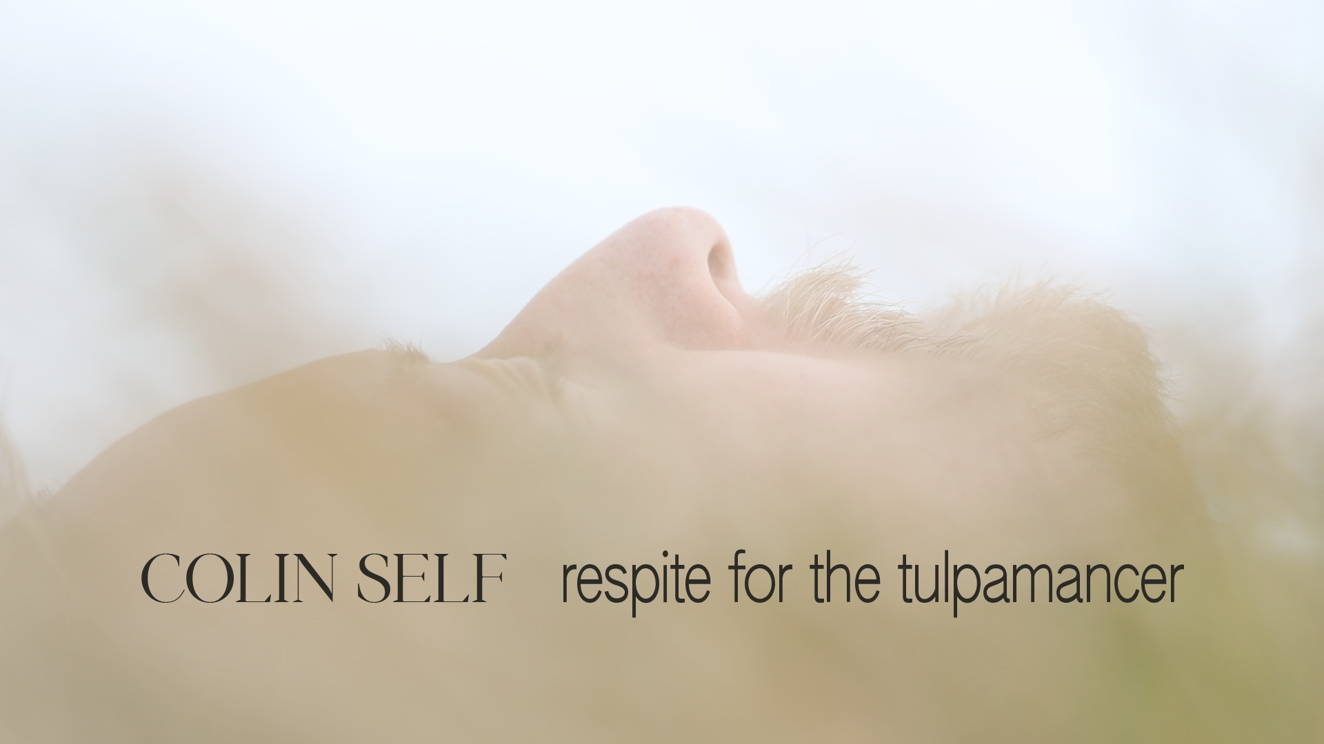 Load video: Colin Self - respite for the tulpamancer [Official Video]