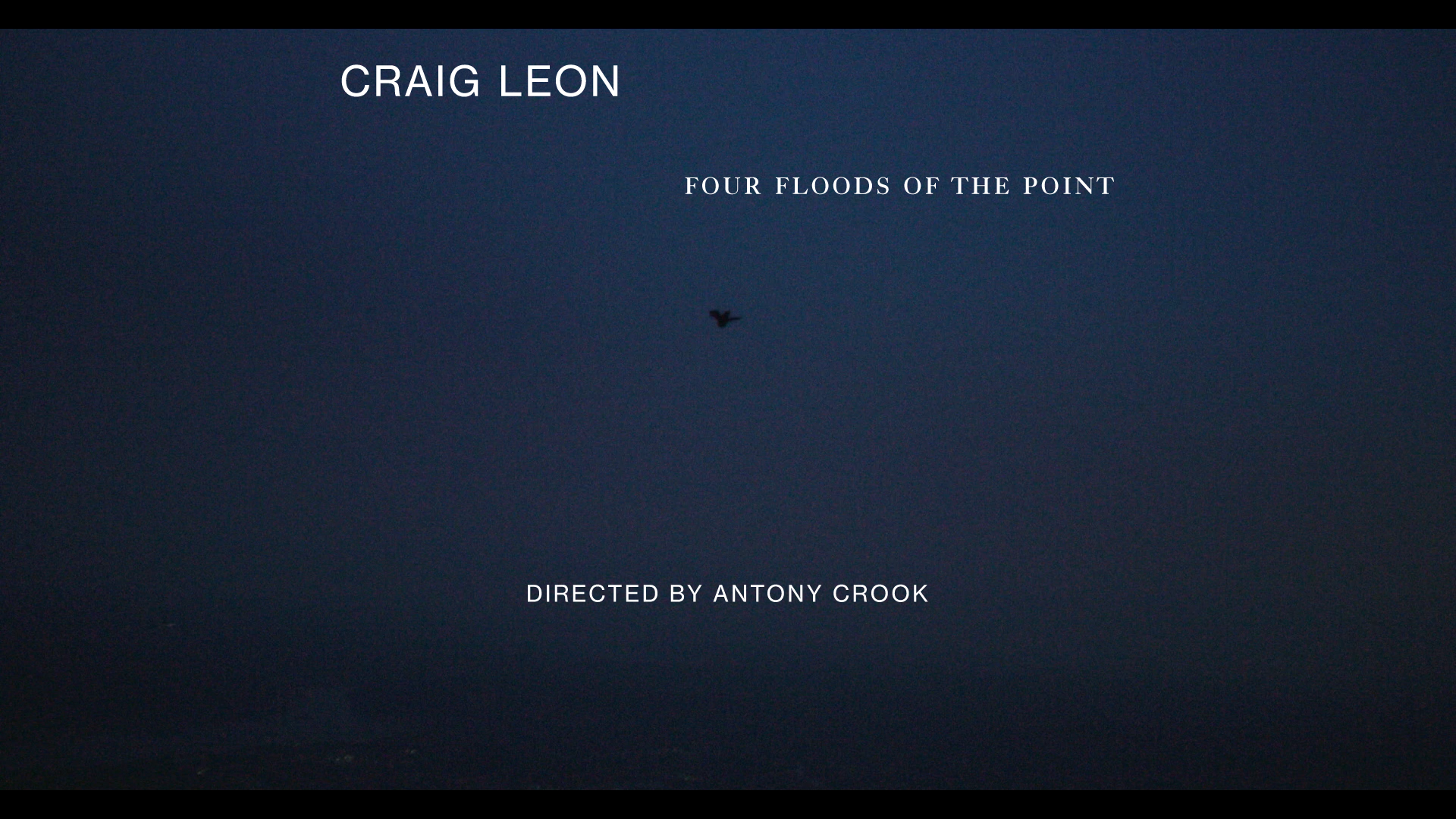 Load video: Craig Leon - Four Floods Of The Point
