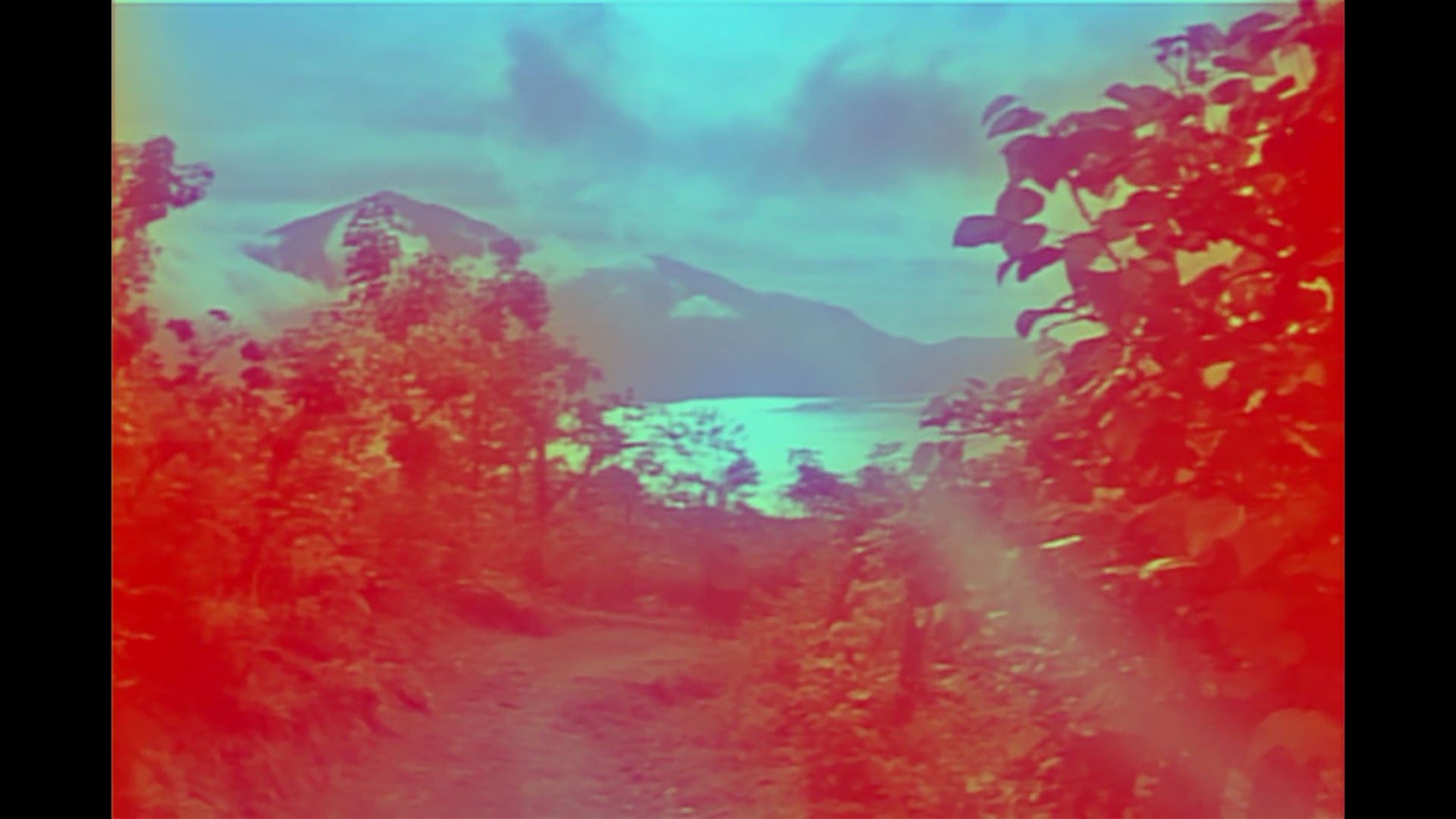 Load video: Dukes of Chutney "Domino" BIS011