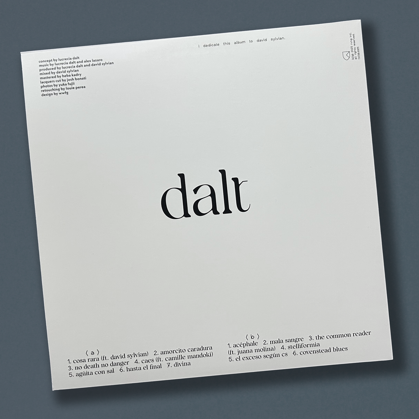 Lucrecia Dalt - A Danger to Ourselves