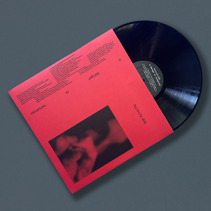 Lucrecia Dalt - A Danger to Ourselves