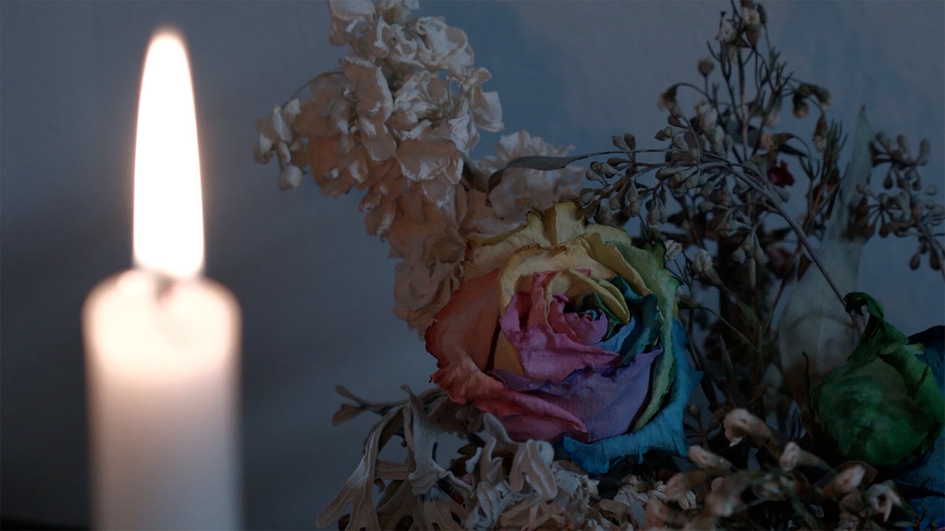 Load video: K. Leimer - Lonely Boy [Official Video]