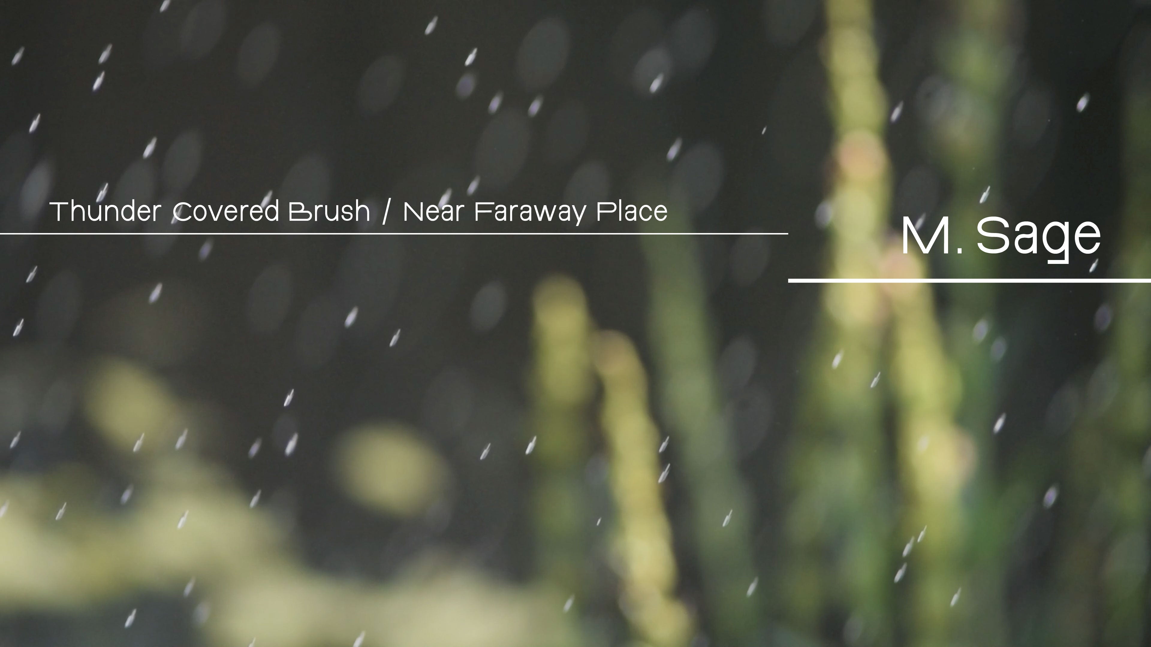 Load video: M. Sage - Thunder Covered Brush / Near Faraway Place