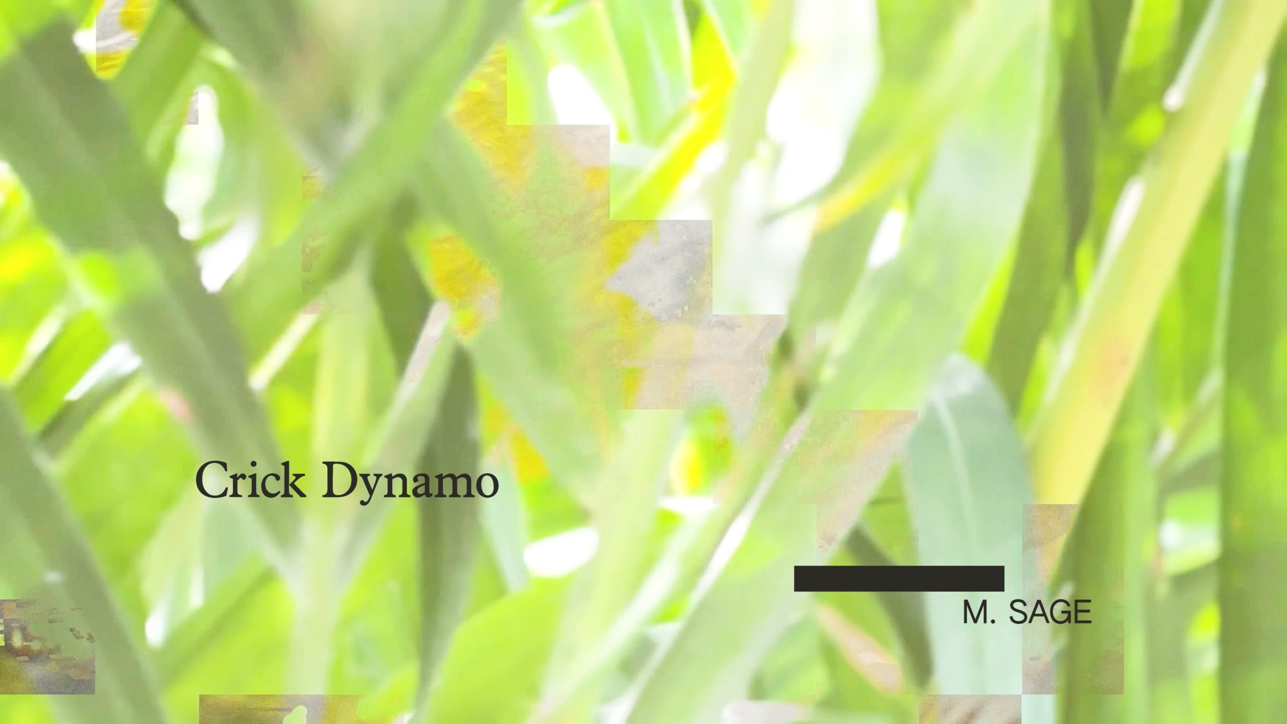 Load video: M. Sage - Crick Dynamo