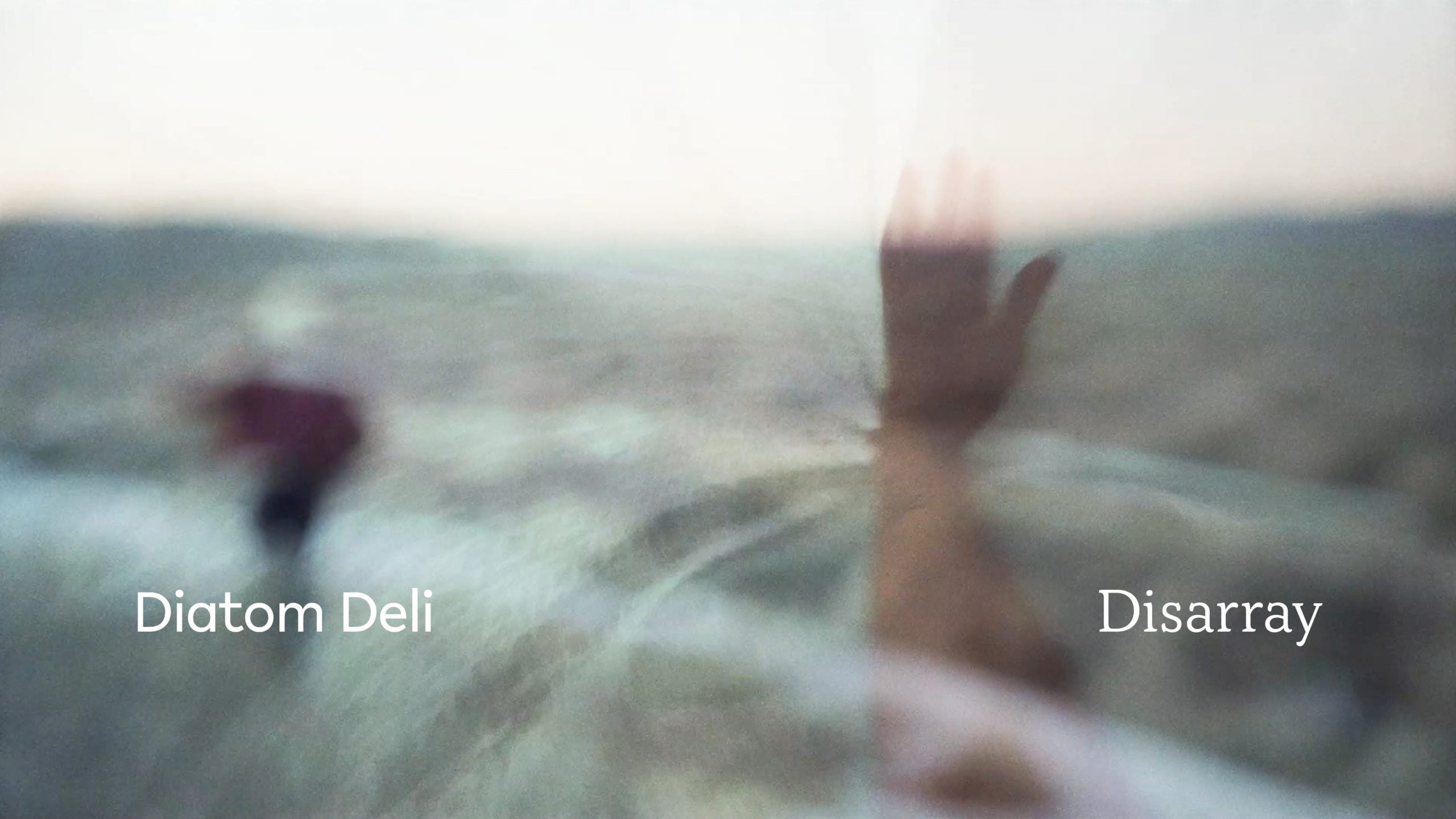 Load video: Diatom Deli - Disarray (Official Video)