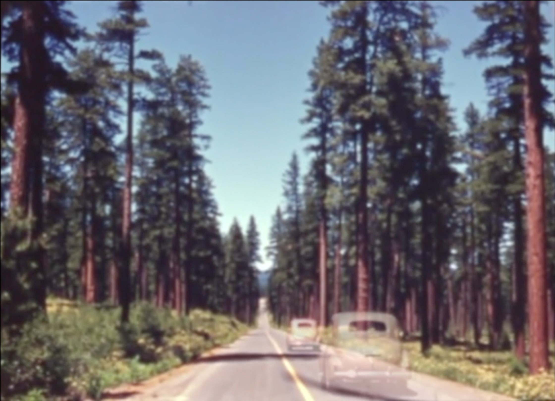 Load video: Ernest Hood - Bedroom of the Absent Child