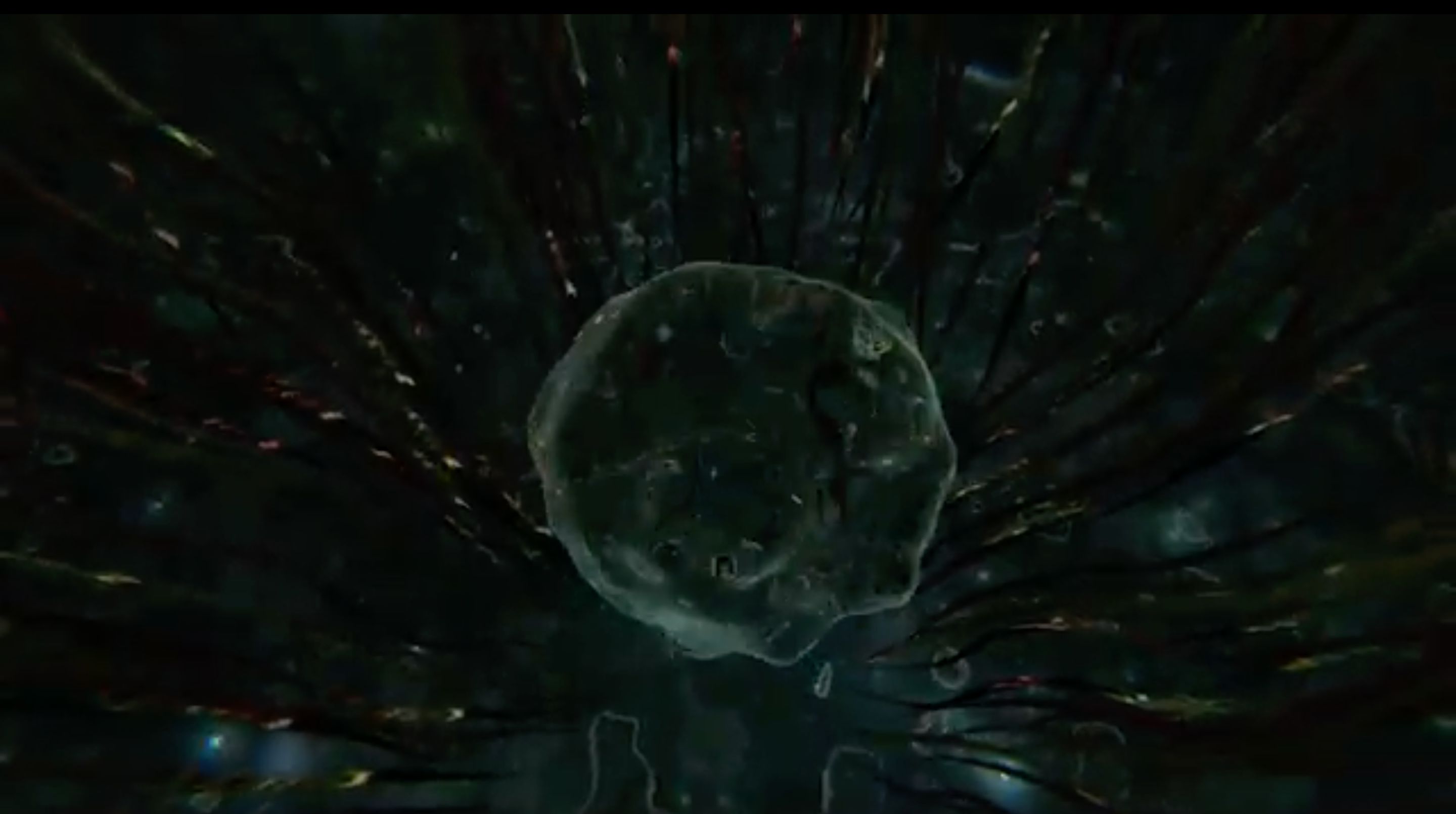 Load video: Pauline Anna Strom - Quiet Joy