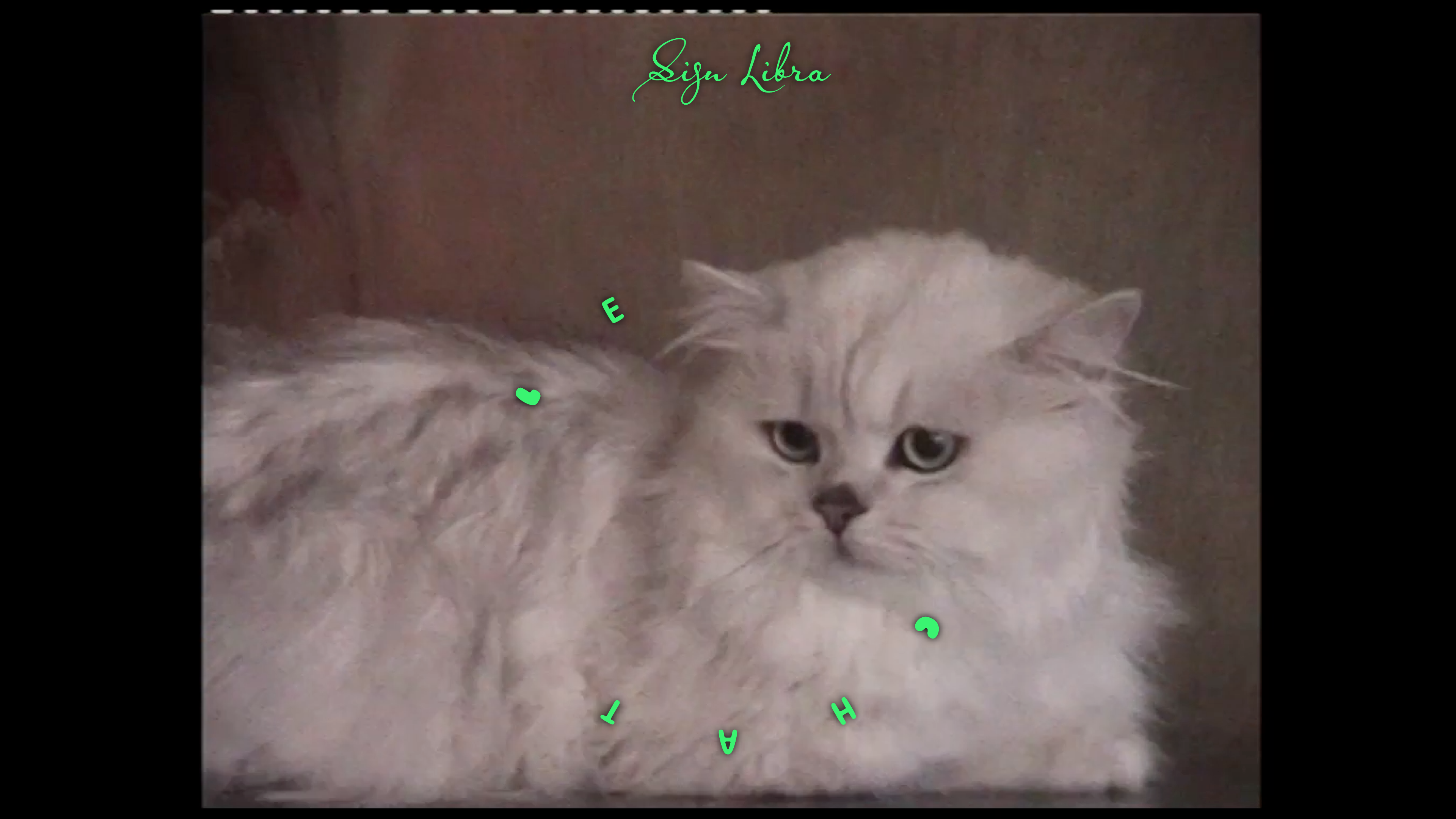 Load video: Sign Libra - Le Chat