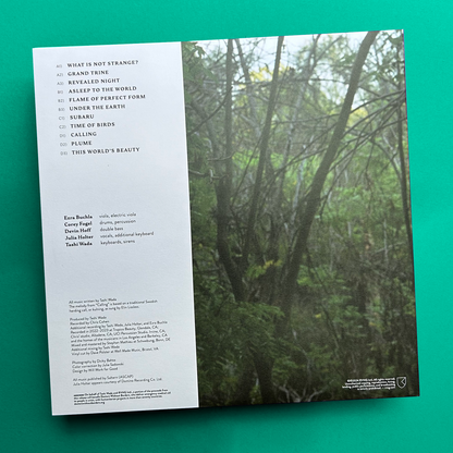 Tashi Wada - What is Not Strange?