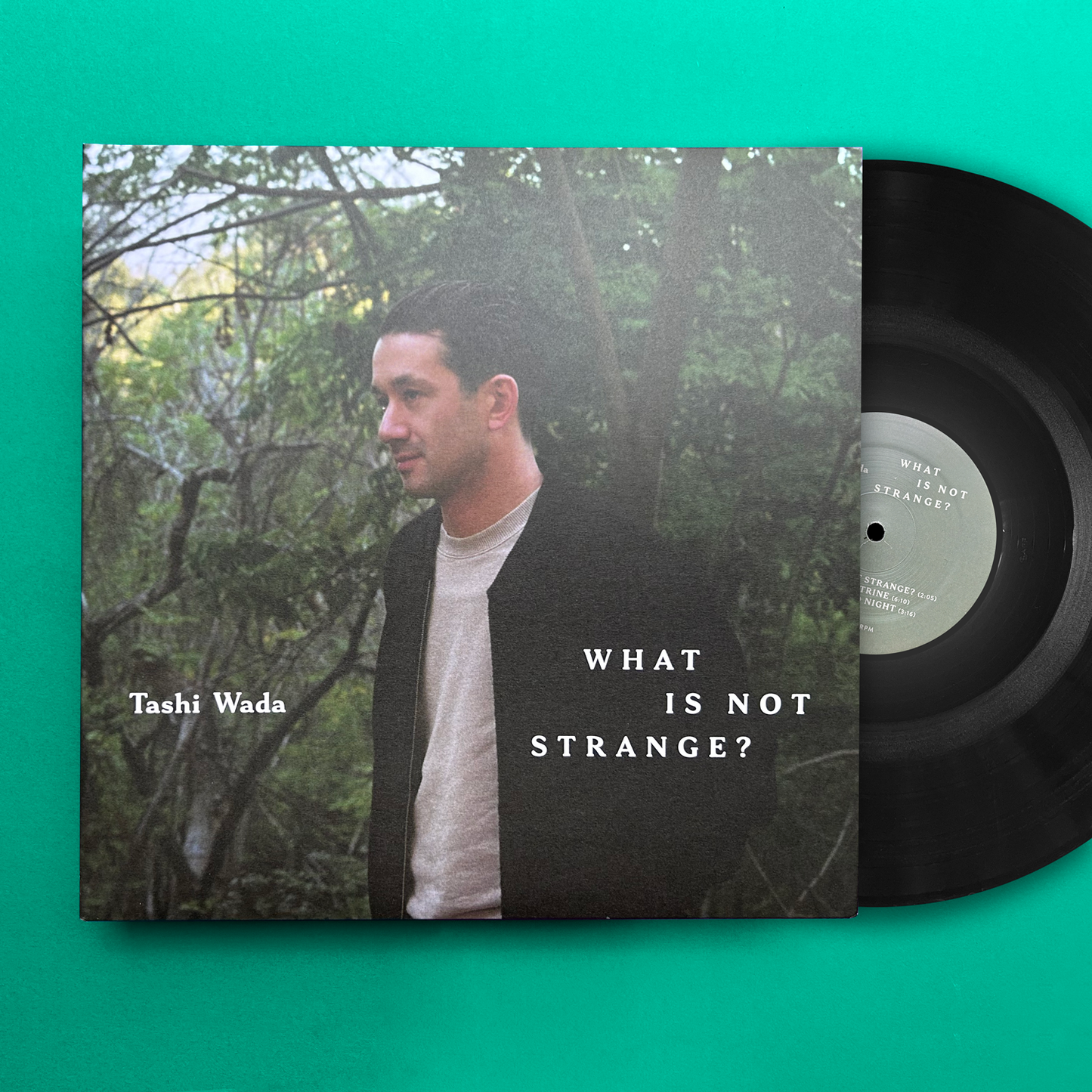 Tashi Wada - What is Not Strange?