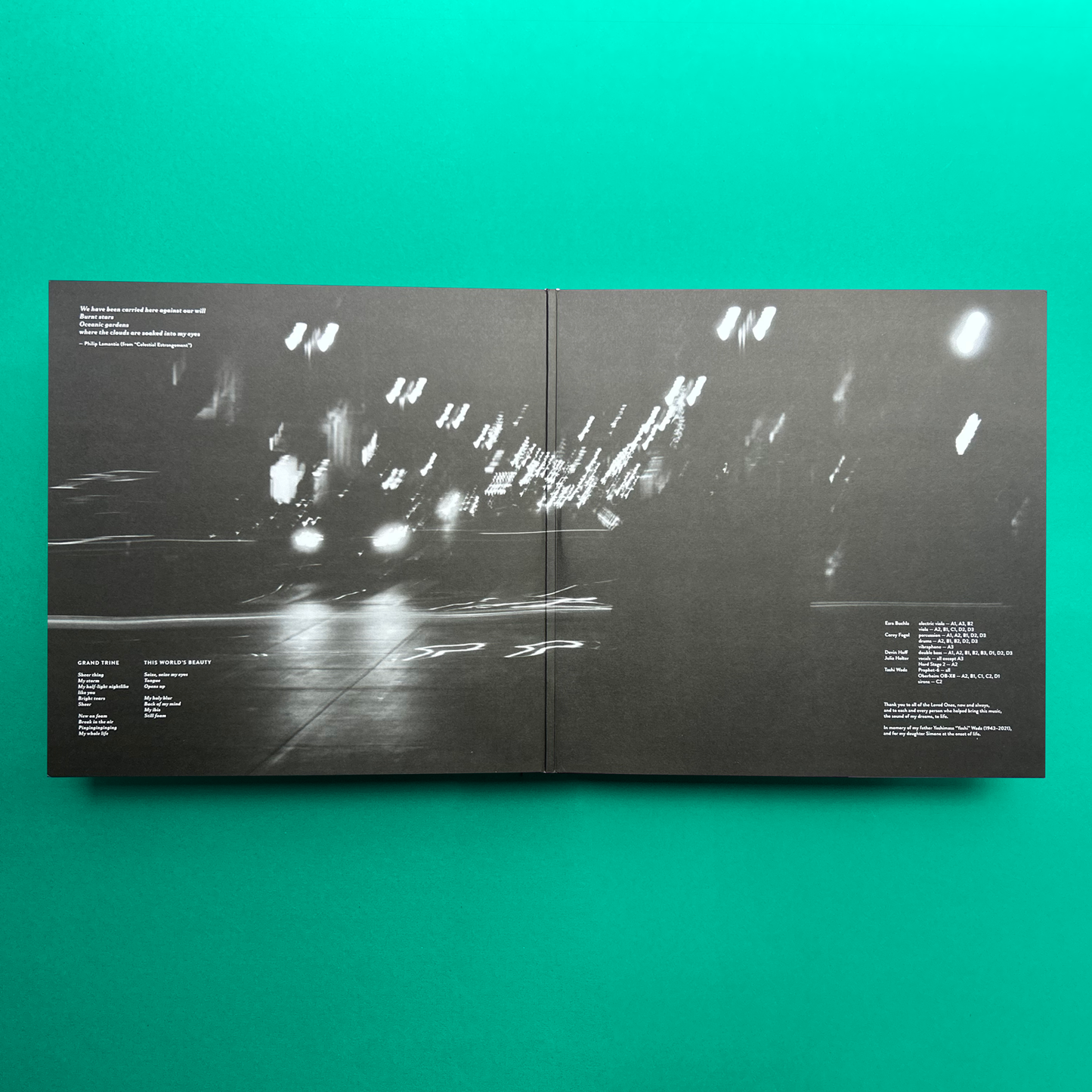 Tashi Wada - What is Not Strange?