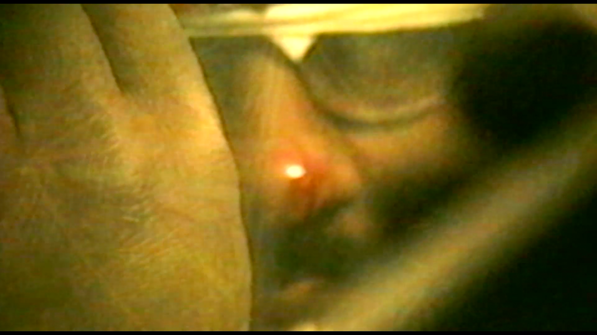 Load video: The Body - To Carry The Seeds Of Death Within Me [Official Video]