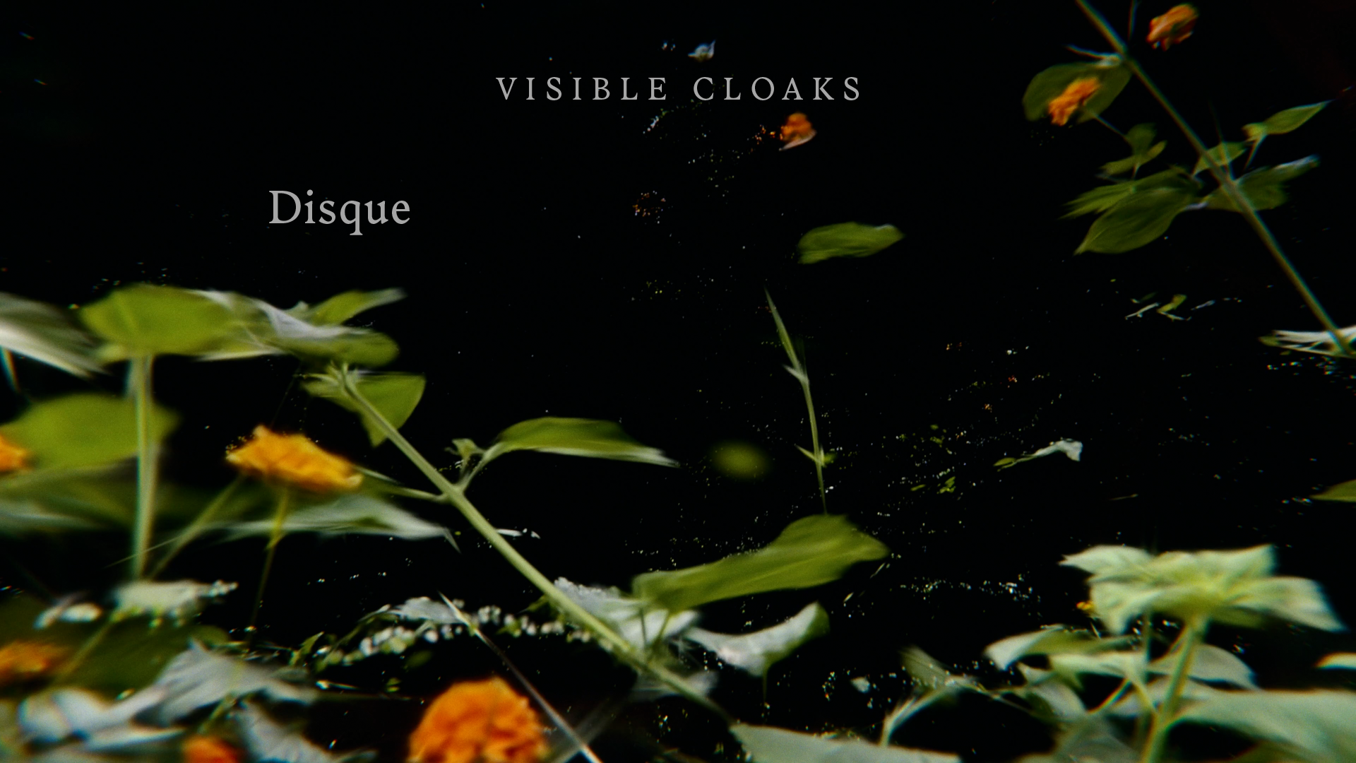 Load video: Visible Cloaks - Disque [Official Video]