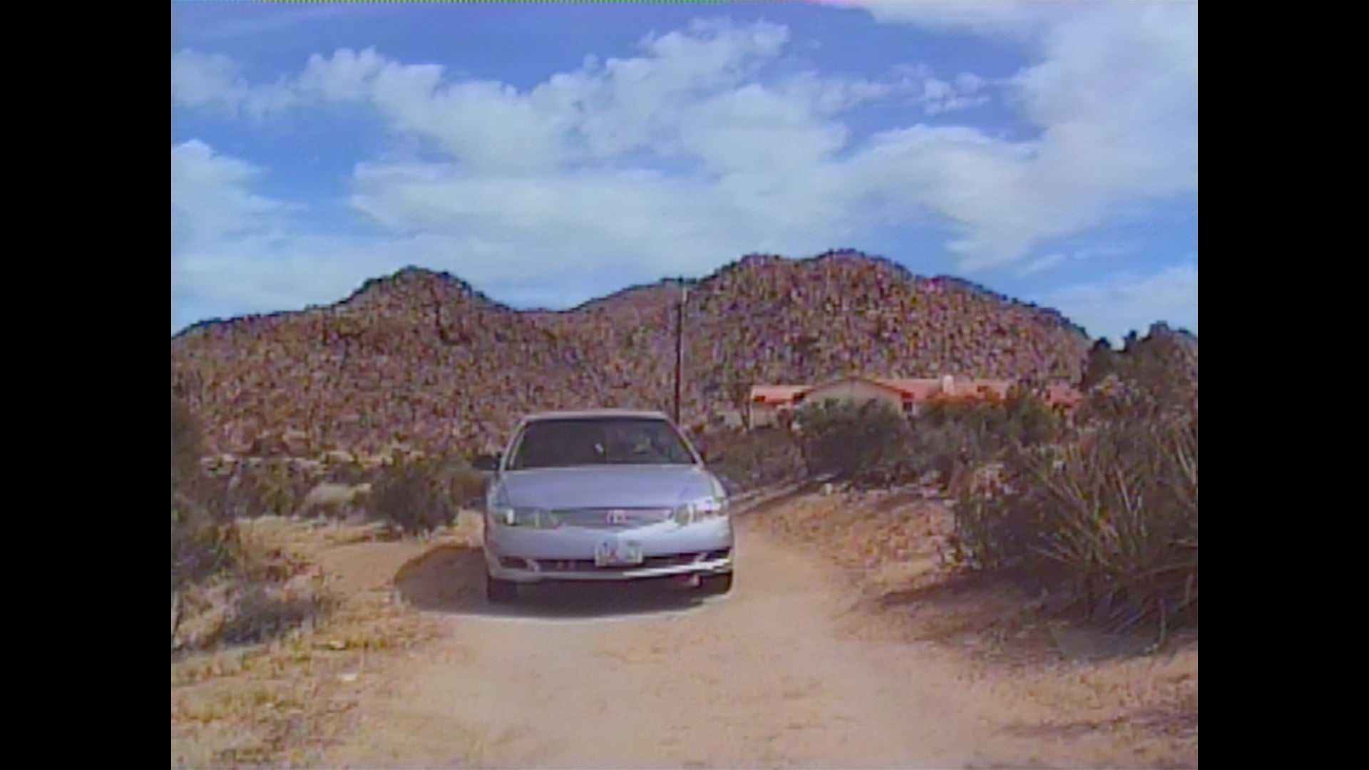 Load video: Palmbomen II - Are You Friends With Amber?