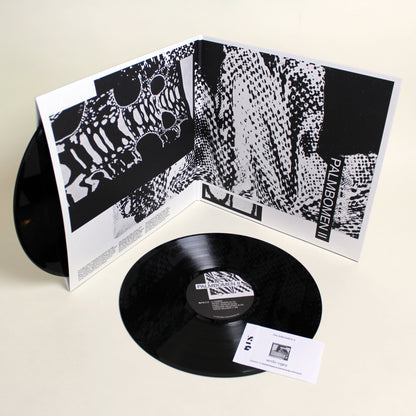 Palmbomen II - Palmbomen II