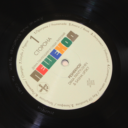 Dima Pantyushin & Sasha Lipsky - Peshekhod