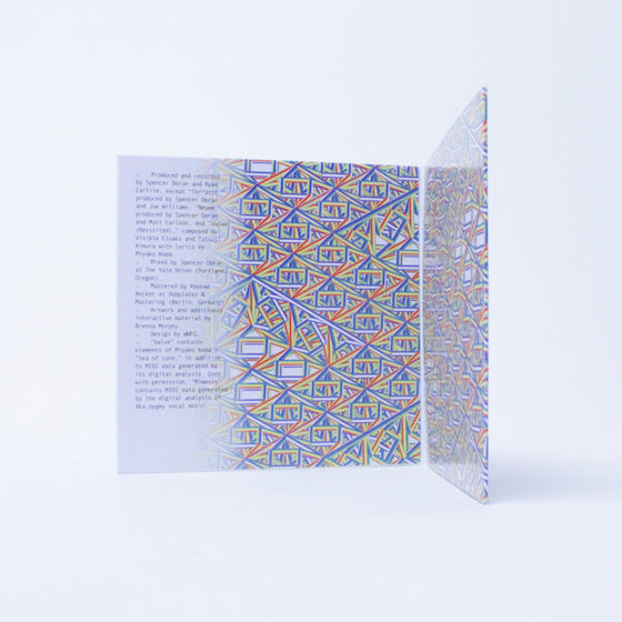 Visible Cloaks - Reassemblage