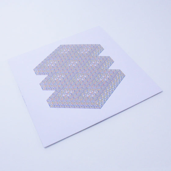 Visible Cloaks - Reassemblage