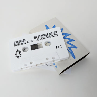 V/A - RVNG Intl. at 15: Beatrice Dillon Selects / Dissects