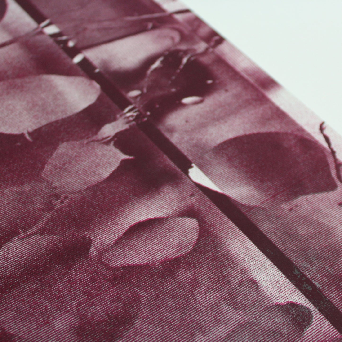 Oliver Coates - skins n slime