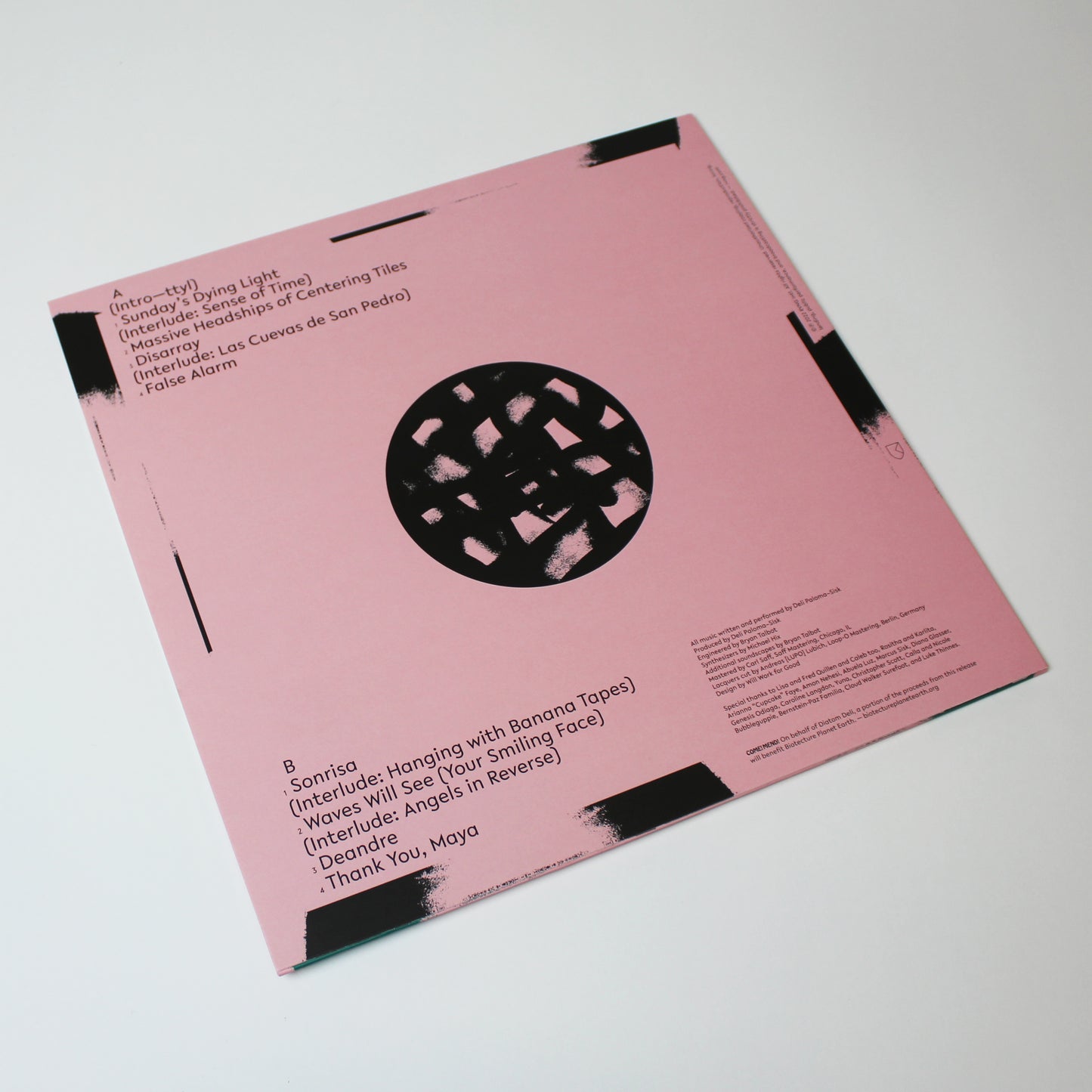 Diatom Deli - Time~Lapse Nature