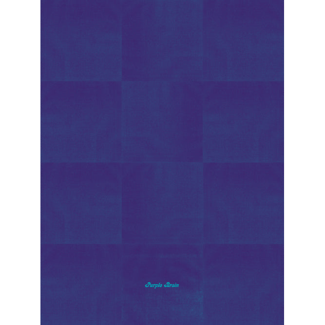RVNG PRSNTS MX7 22" X 30" Poster <span>Purple Brain</span>