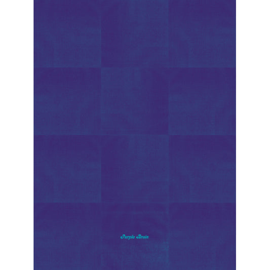 RVNG PRSNTS MX7 22" X 30" Poster <span>Purple Brain</span>