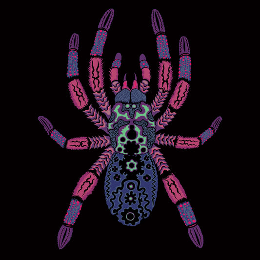 Kangaroo Ground / Ferntree Gully <span>Tornado Wallace</span>