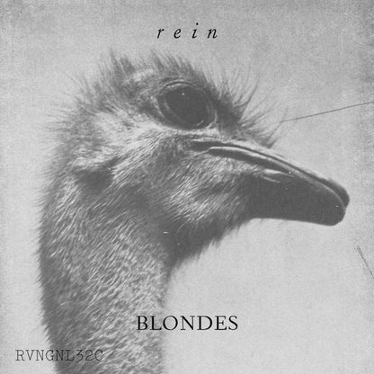 Rein <span>Blondes</span>