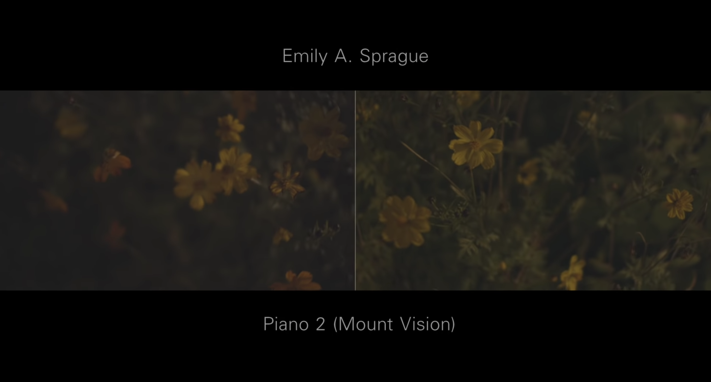 Link to Video for Emily A. Sprague – Your Pond
