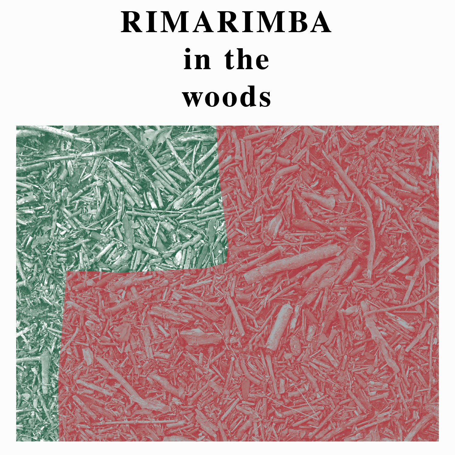Image for Rimarimba – In The Woods