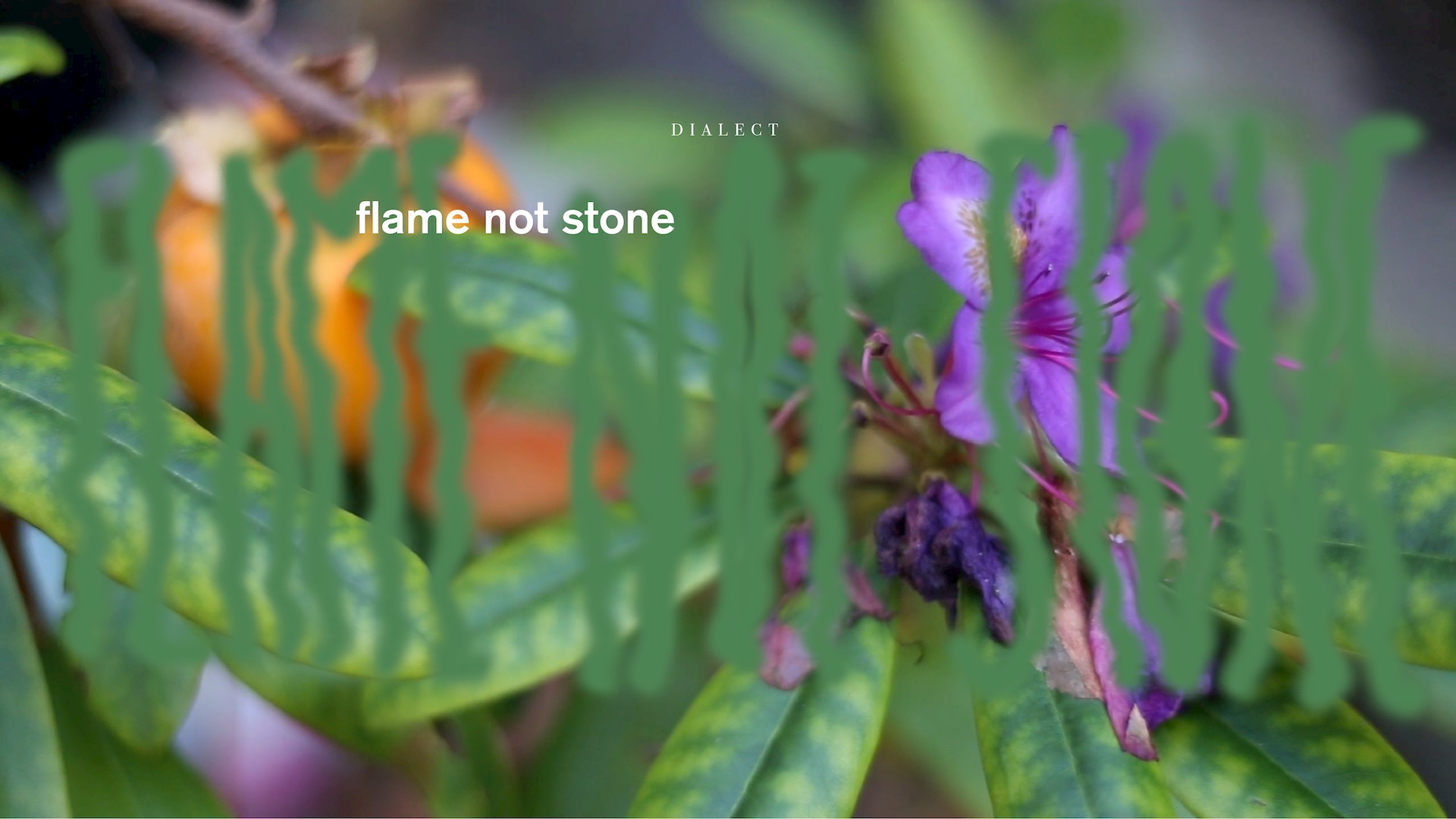 Link to Video for Dialect – Flame Not Stone