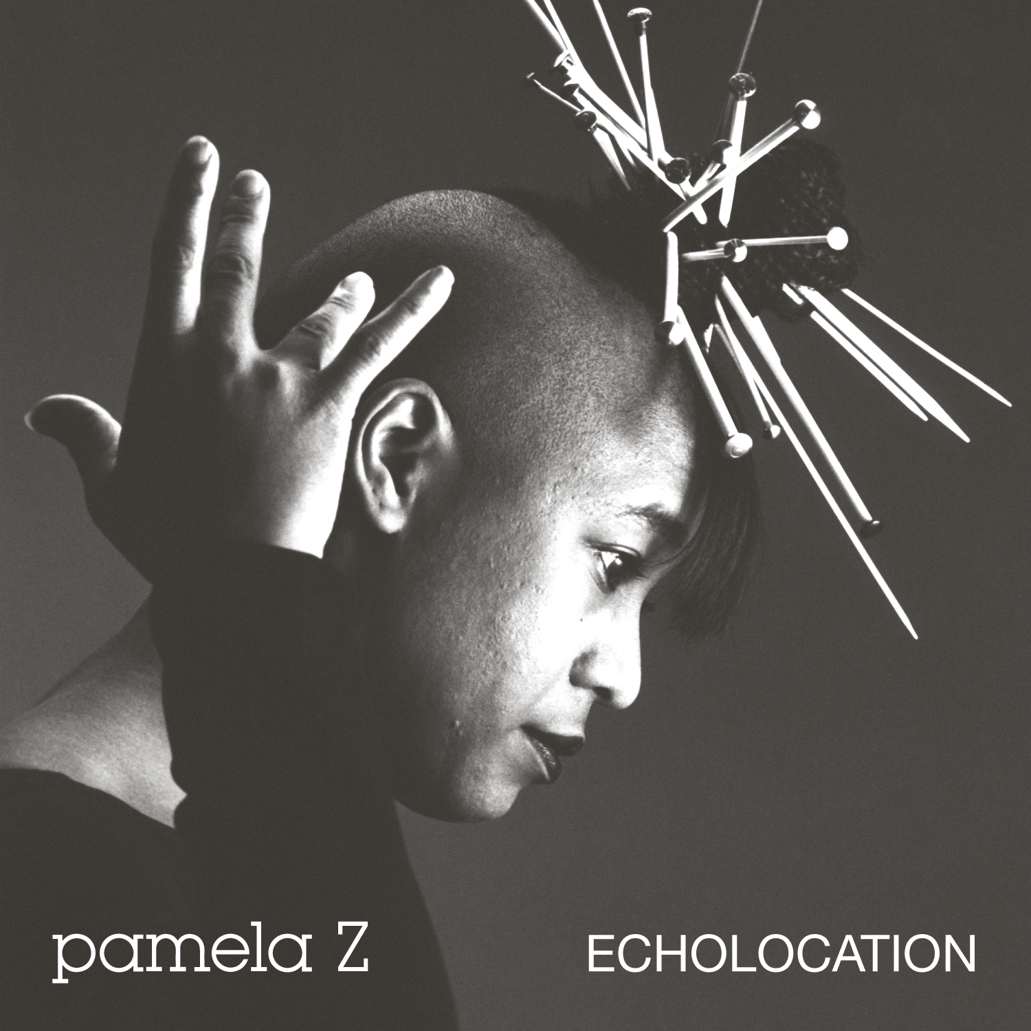 Pamela Z – Echolocation