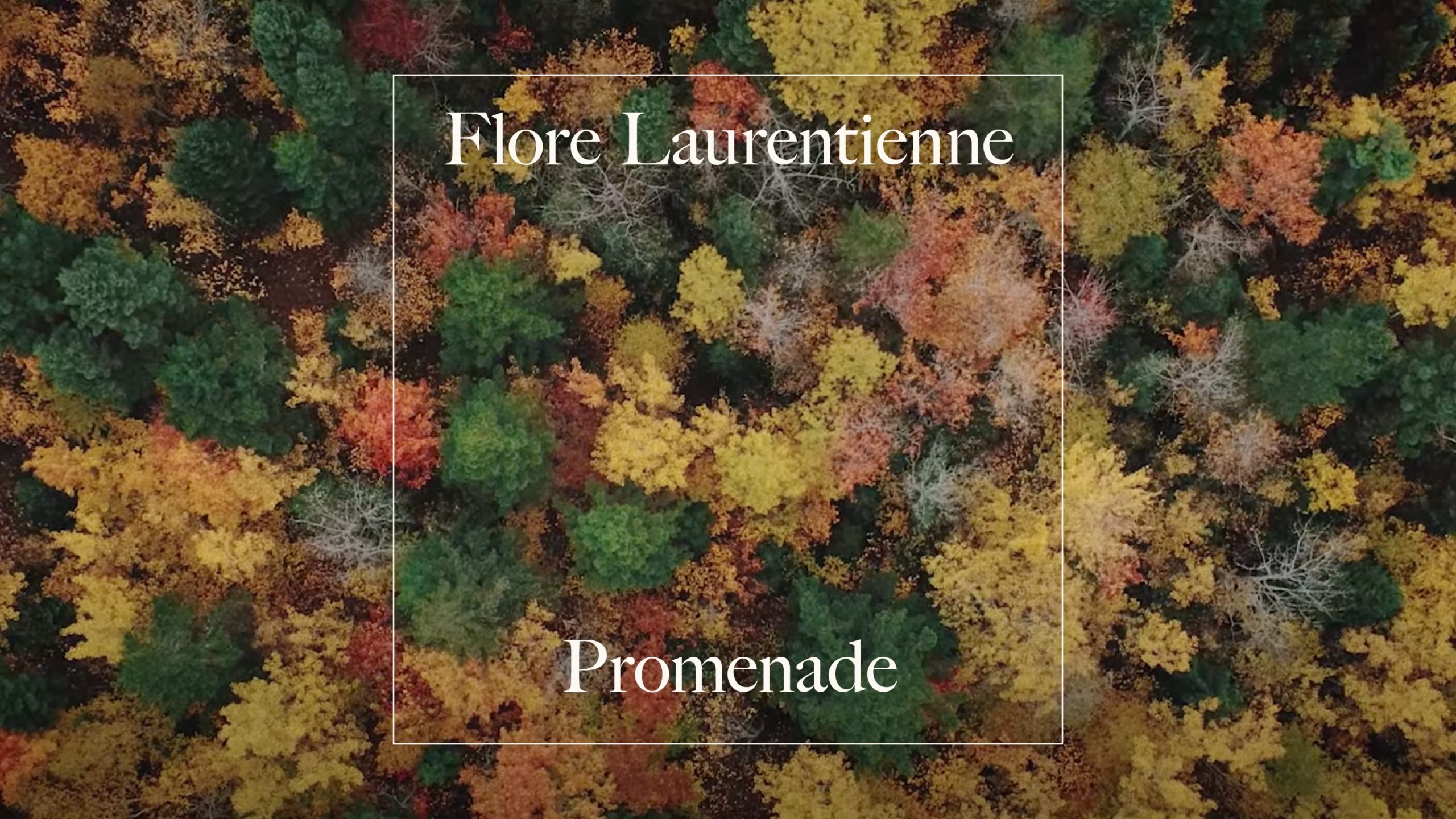Link to Video for Flore Laurentienne – Promenade (Official Video)