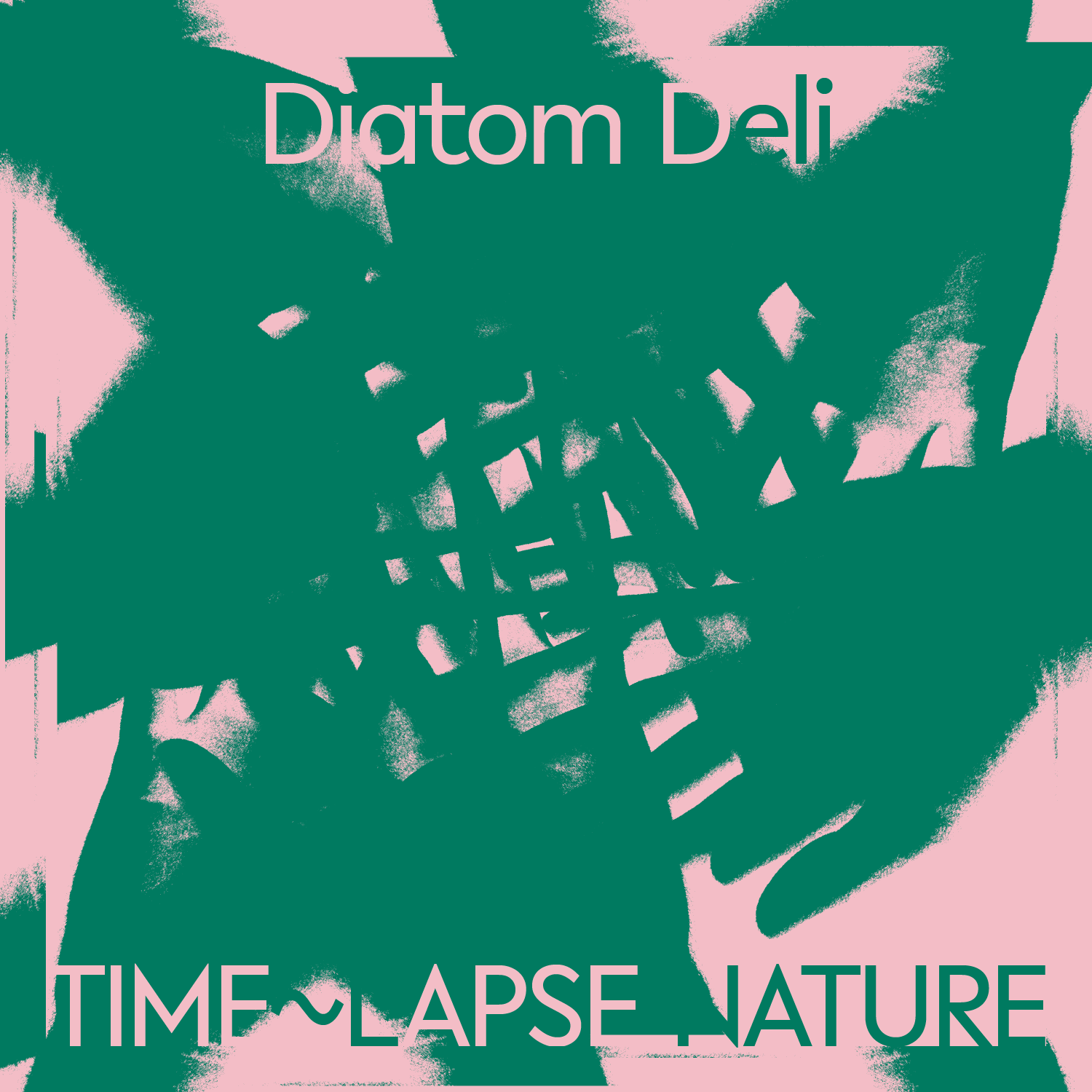 Diatom Deli – Time~Lapse Nature