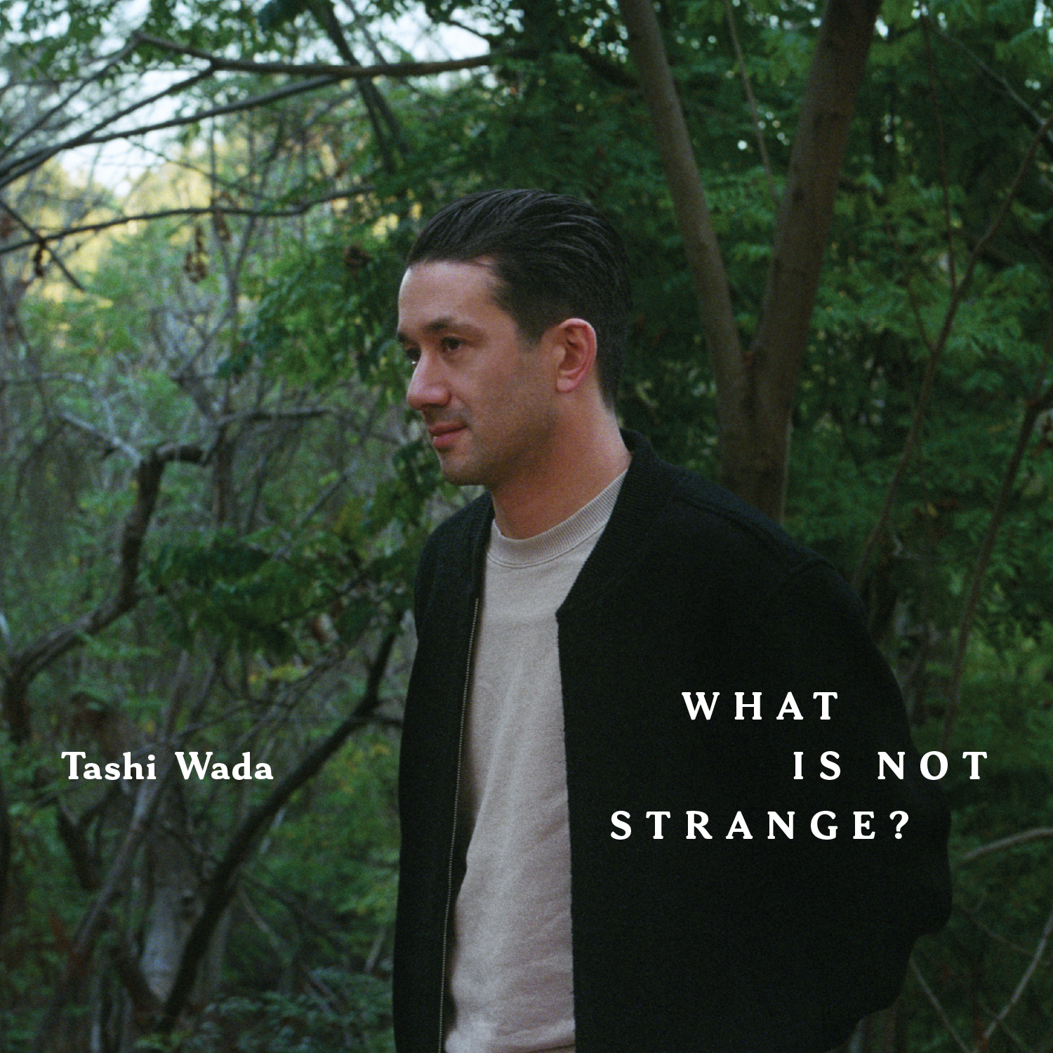 Tashi Wada – What is Not Strange?