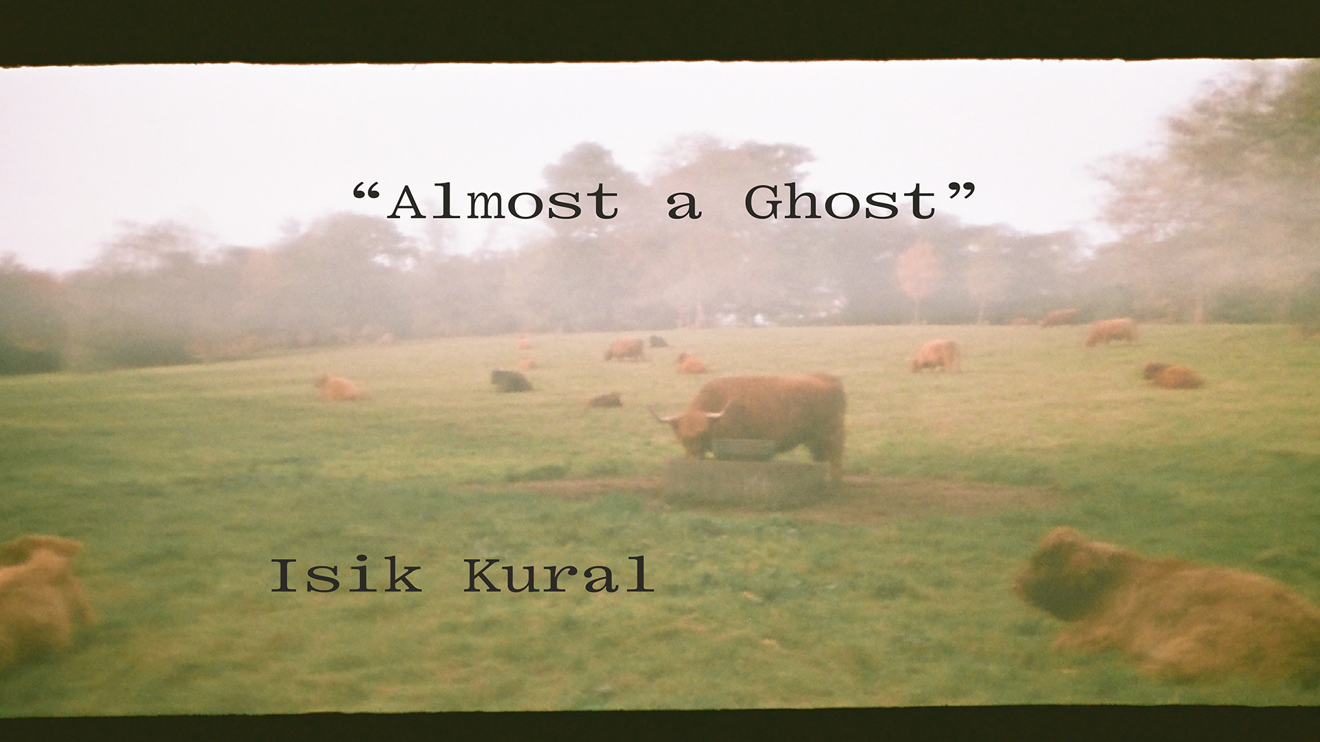 Link to Video for Isik Kural – Almost a Ghost [Official Video]